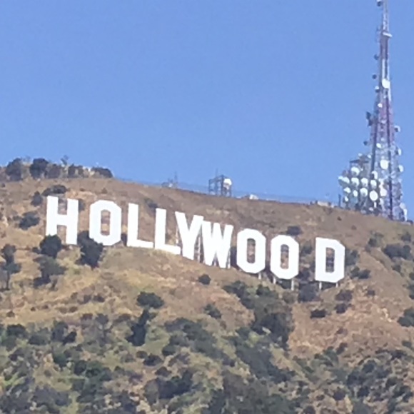 Meet your Posher, Holly - Picture 5 of 5